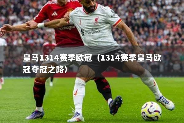 皇马1314赛季欧冠（1314赛季皇马欧冠夺冠之路）