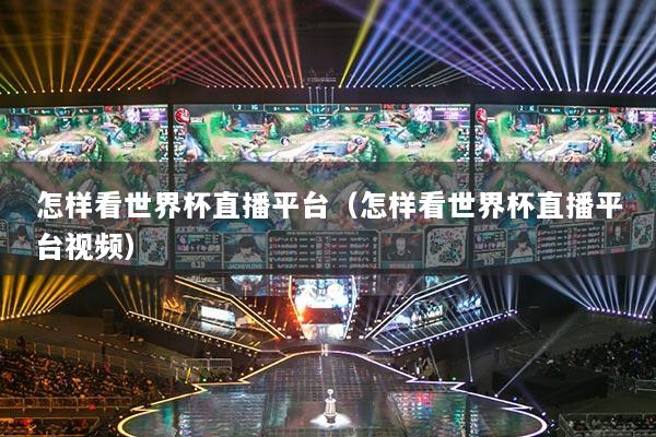 怎样看世界杯直播平台（怎样看世界杯直播平台视频）