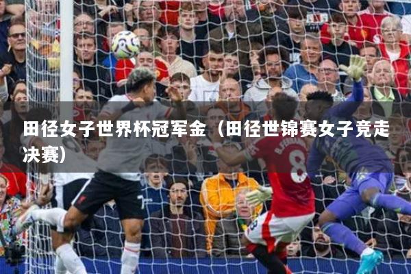 田径女子世界杯冠军金（田径世锦赛女子竞走决赛）