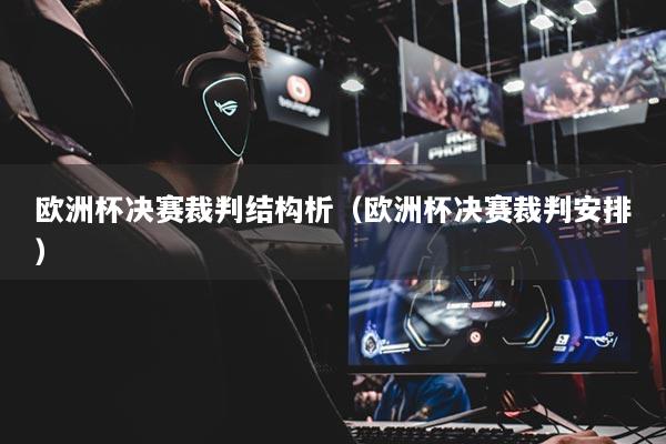 欧洲杯决赛裁判结构析（欧洲杯决赛裁判安排）