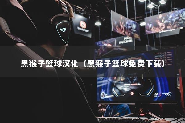 黑猴子篮球汉化（黑猴子篮球免费下载）
