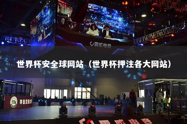 世界杯安全球网站（世界杯押注各大网站）