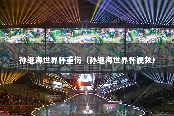 孙继海世界杯重伤（孙继海世界杯视频）