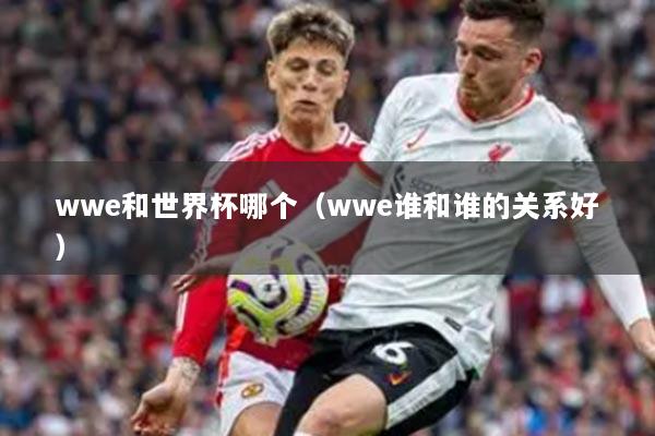 wwe和世界杯哪个（wwe谁和谁的关系好）