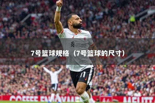 7号篮球规格（7号篮球的尺寸）