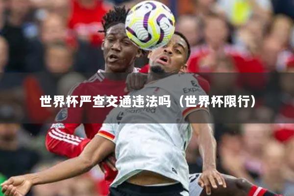 世界杯严查交通违法吗（世界杯限行）