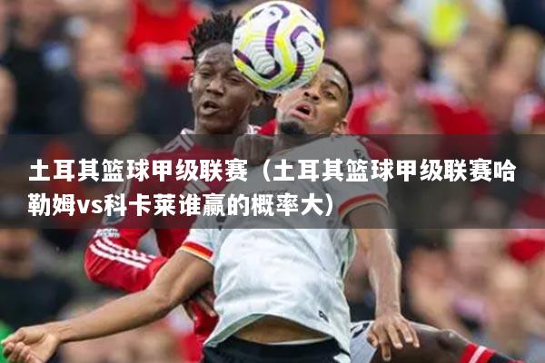 土耳其篮球甲级联赛（土耳其篮球甲级联赛哈勒姆vs科卡莱谁赢的概率大）