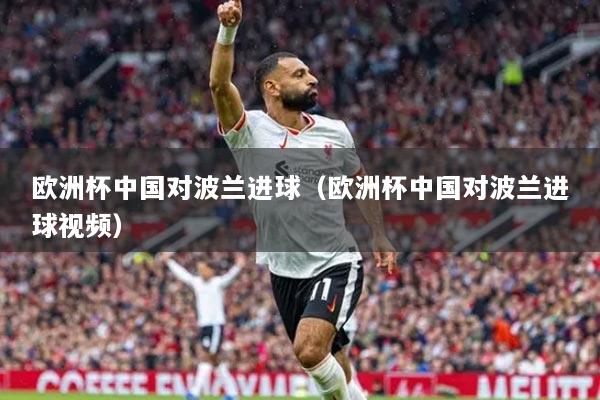 欧洲杯中国对波兰进球（欧洲杯中国对波兰进球视频）