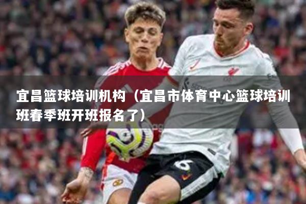 宜昌篮球培训机构（宜昌市体育中心篮球培训班春季班开班报名了）