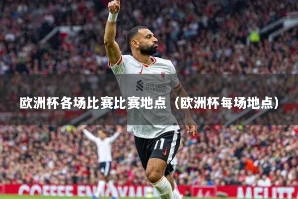 欧洲杯各场比赛比赛地点（欧洲杯每场地点）