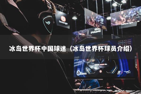 冰岛世界杯中国球迷（冰岛世界杯球员介绍）