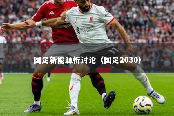 国足新能源析讨论（国足2030）