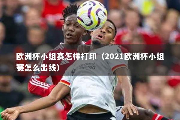 欧洲杯小组赛怎样打印（2021欧洲杯小组赛怎么出线）