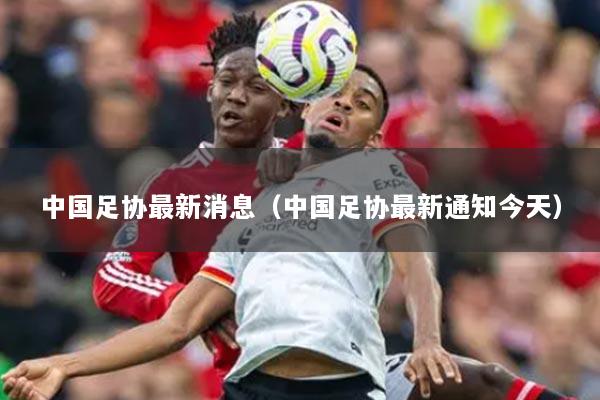 中国足协最新消息（中国足协最新通知今天）